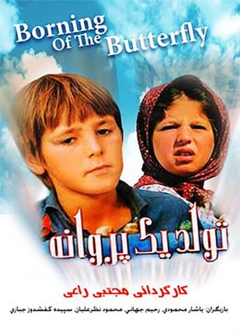 Birth of a Butterfly poster