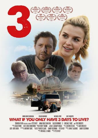 3 poster