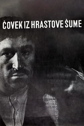 The Man from the Oak Forest poster