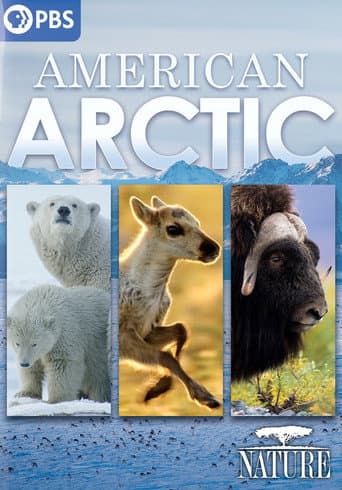 American Arctic poster