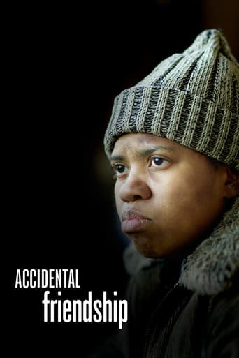 Accidental Friendship poster