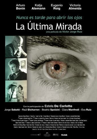 The Last Look poster