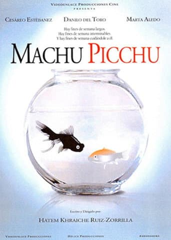 Machu Picchu poster