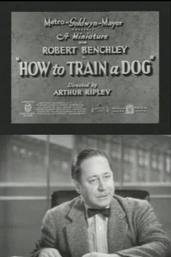 How to Train a Dog poster