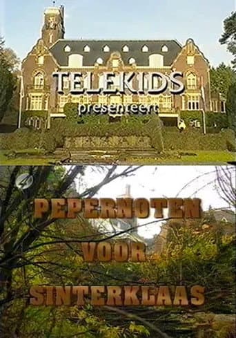 Pepernoten voor Sinterklaas poster
