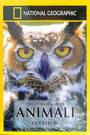 Owls: Silent Hunters poster