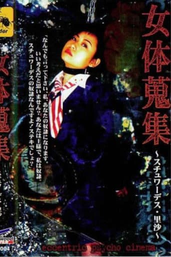 Female Body Collection: Stewardess Risa poster