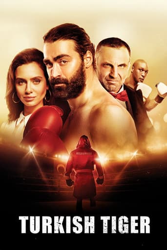 Turkish Tiger poster