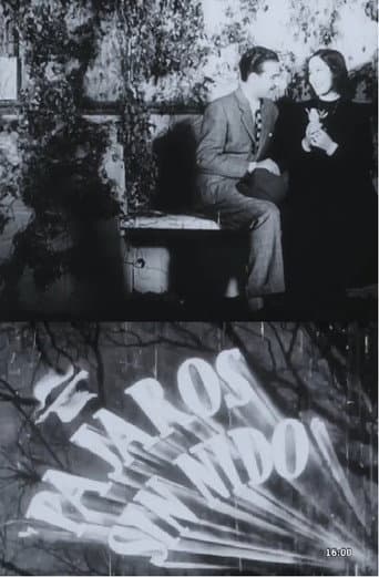 Pájaros sin nido poster