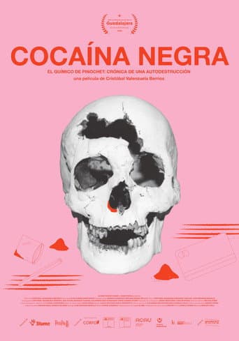 Black Cocaine poster