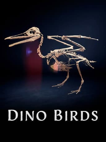 Dino Birds poster