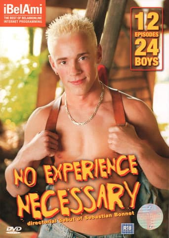 No Experience Necessary poster