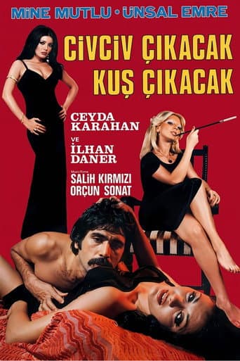 Civciv Çıkacak Kuş Çıkacak poster