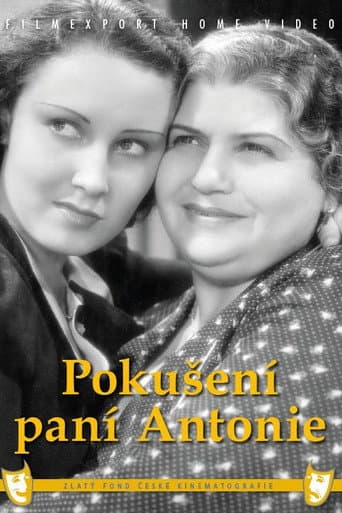 Pokušení paní Antonie poster
