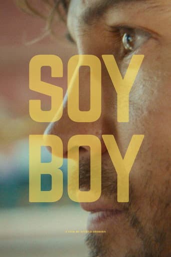 Soy Boy poster