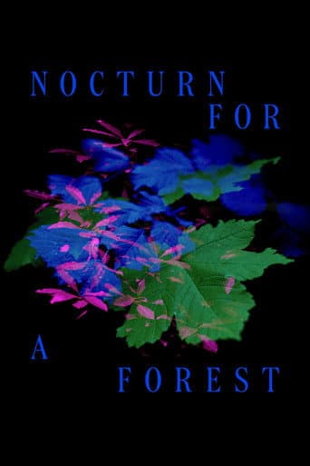 Nocturne for a Forest poster