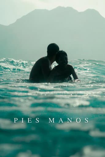 Pies, manos poster