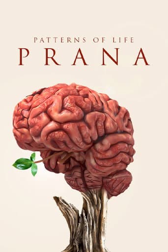 Patterns of life: Prana poster