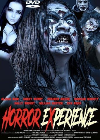 Horror Experience poster