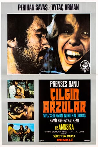 Çılgın Arzular poster