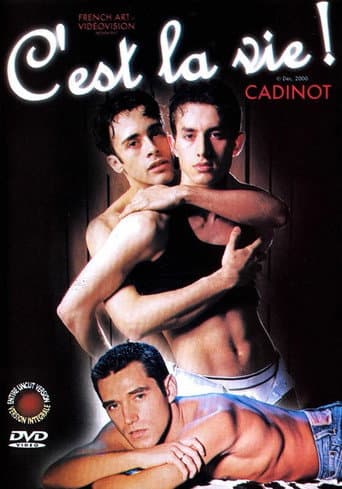 C'est la vie poster