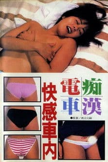 Groper Train: Pleasure Inside the Car poster