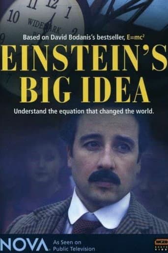 Einstein's Big Idea poster