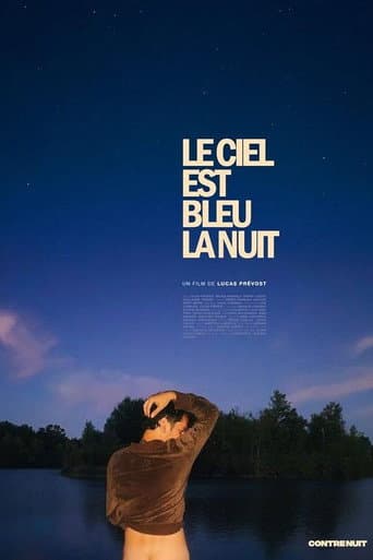 Le ciel est bleu la nuit poster