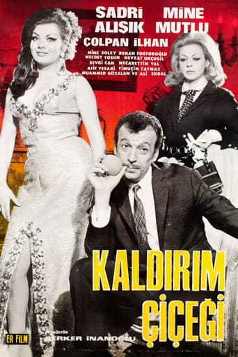 Kaldırım Çiçeği poster