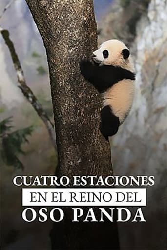 Four Seasons in the giant Panda’s kingdom poster