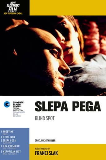 Blind Spot poster