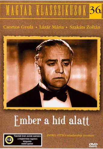 The Man Under the Bridge poster