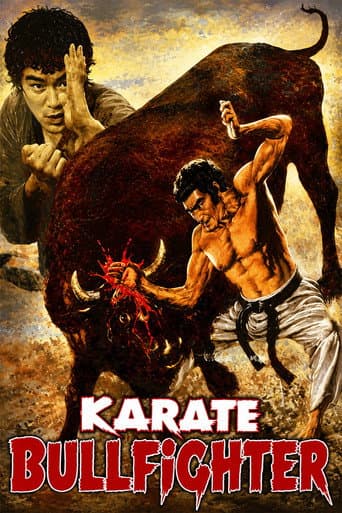 Karate Bullfighter poster