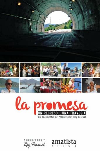 La promesa poster
