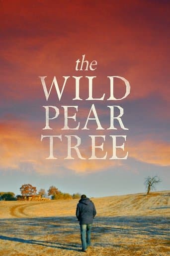 The Wild Pear Tree poster