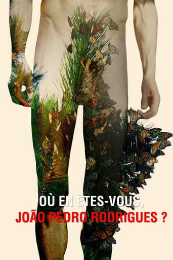 Where Do You Stand Now, João Pedro Rodrigues? poster