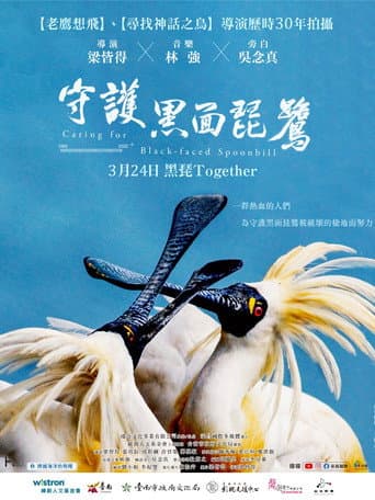 Caring for Black-Faced Spoonbill poster