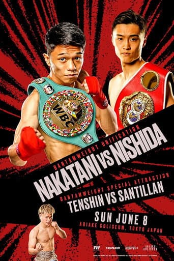 PRIME VIDEO BOXING 13 poster