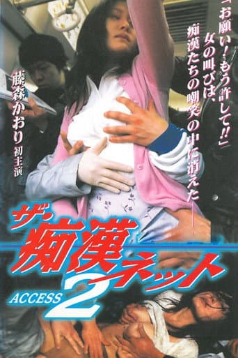 The Molester Net ACCESS 2 poster