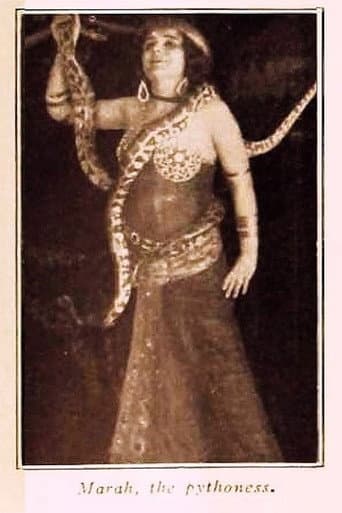 Marah, the Pythoness poster