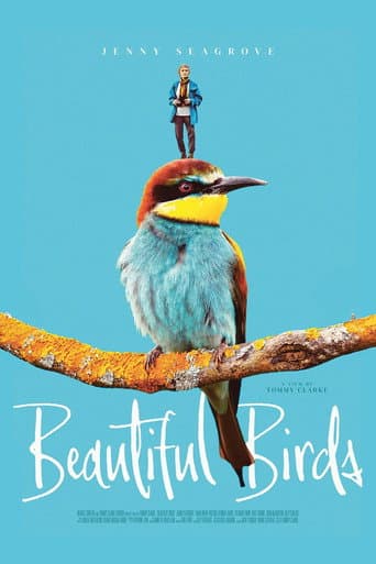 Beautiful Birds poster
