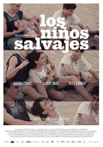 The Wild Children poster