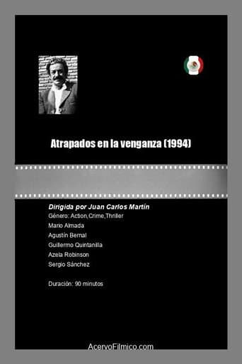 Atrapados en la venganza poster