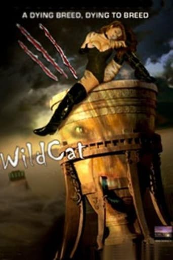 WildCat poster